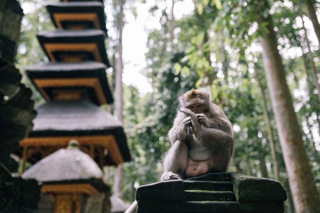 Best Bali Itinerary for 3 Days With a Private Driver