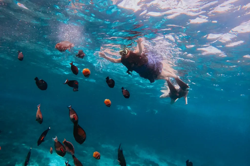 Blue Lagoon Snorkeling - Bali OK Tours