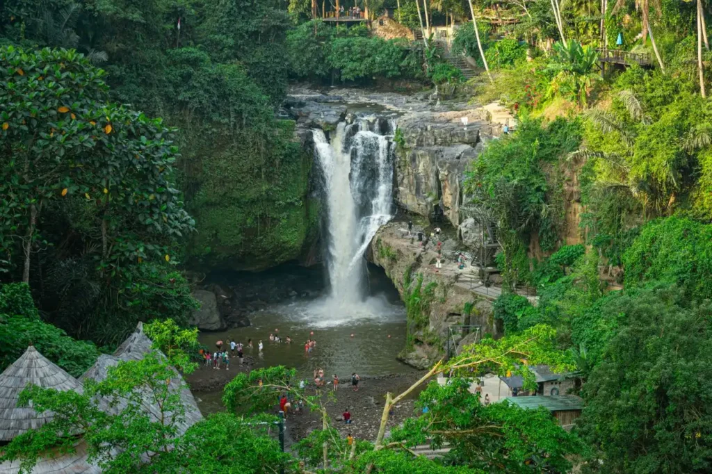 Ubud Day Trip With A Private Driver - Best Stops And Route