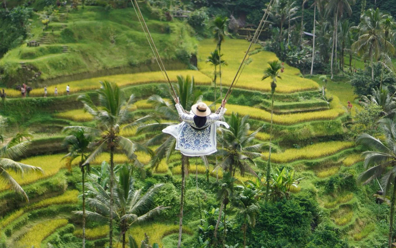 Ubud Day Trip With A Private Driver: Best Stops And Route