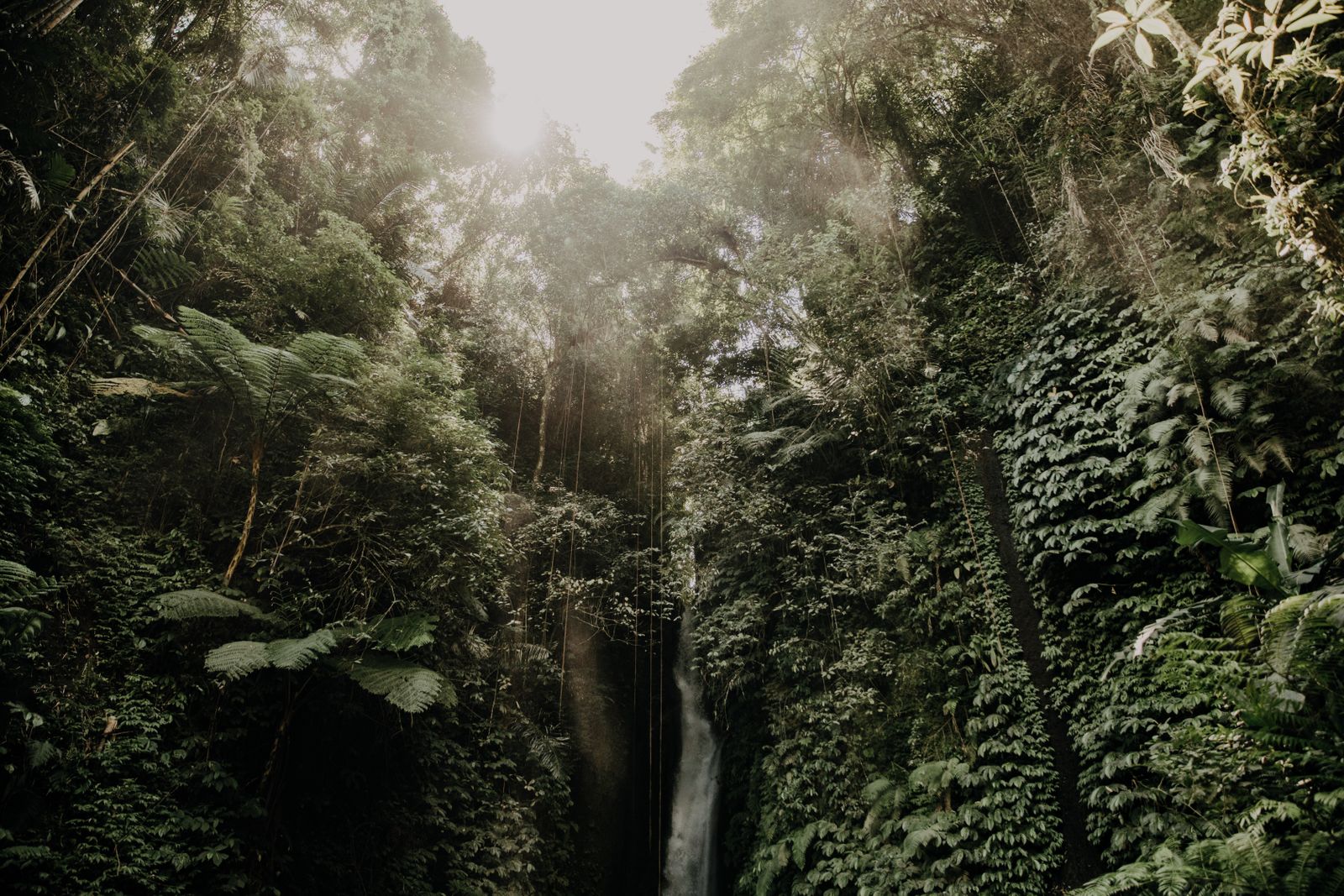 Tall waterfall falling into a rocky rainforest pool in Bali, similar to the pools below Sekumpul Waterfall