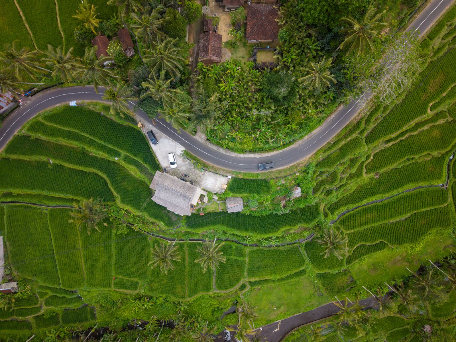 Aerial view of a winding road running through green rice terraces in Bali