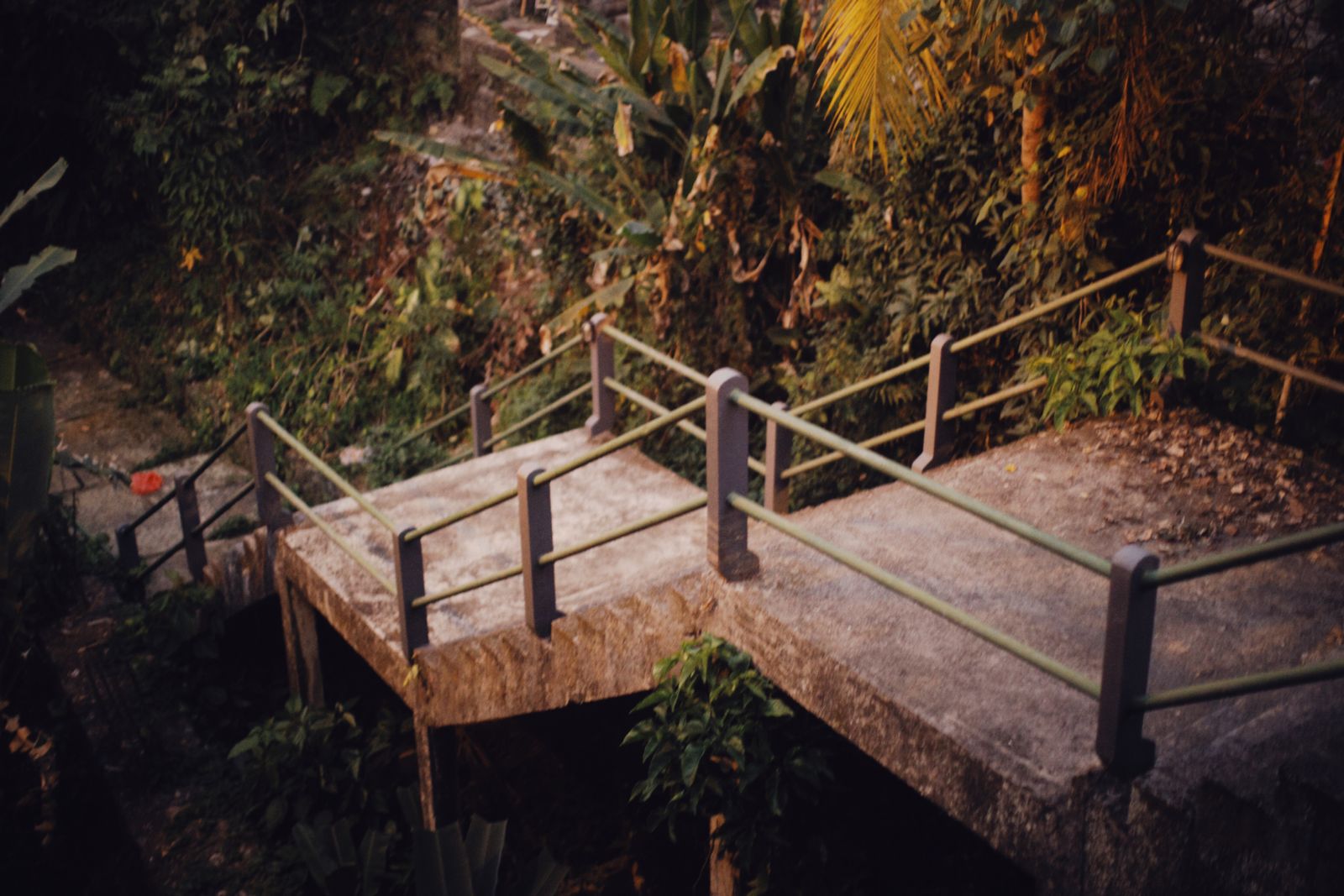 Steep concrete stairway with handrails through thick jungle, like the steps down to Sekumpul Waterfall