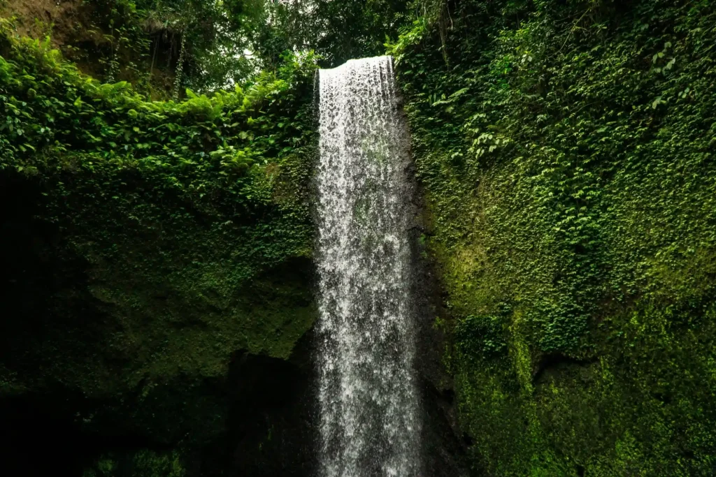 Bali Waterfall
