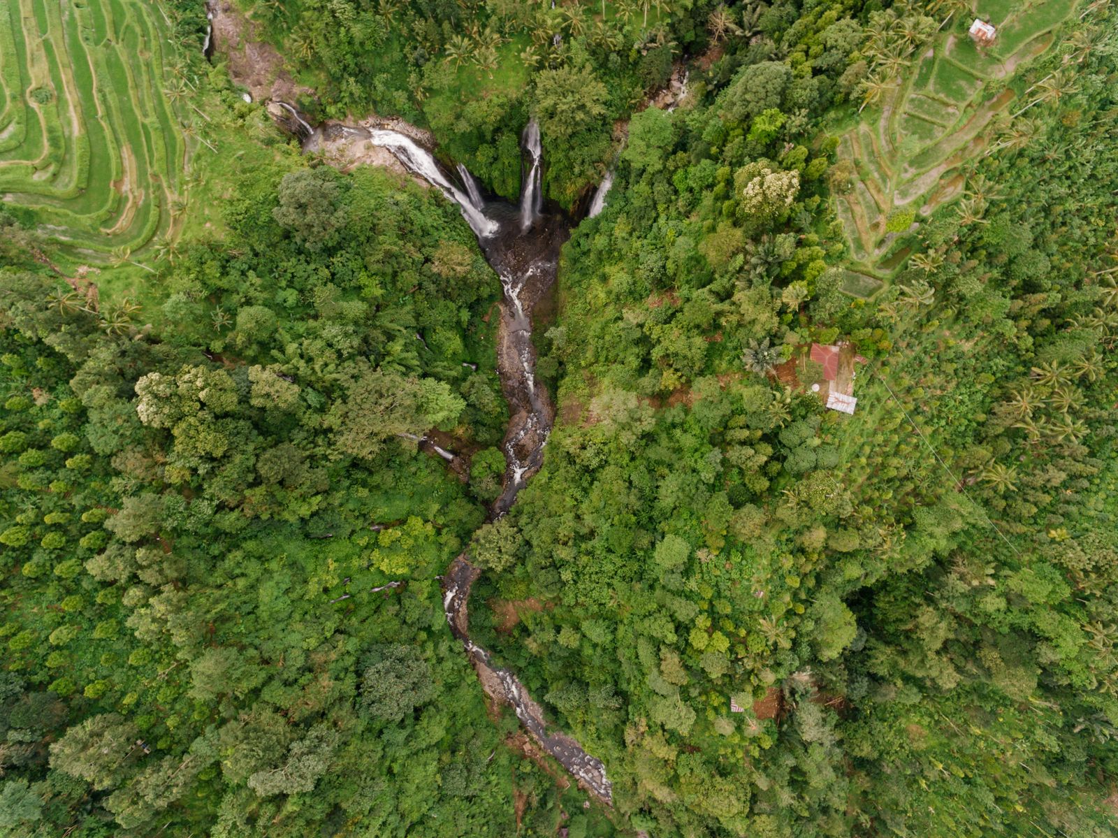 Drone view of farmland, tall trees and a waterfall in a river valley in the hills of north Bali