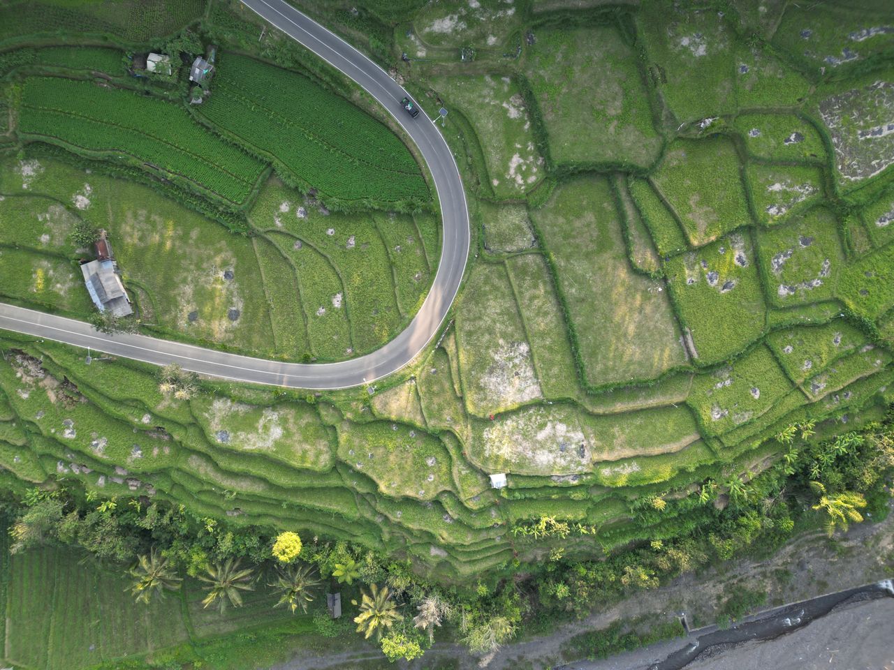 Aerial view of a road winding past rice terraces in Bali